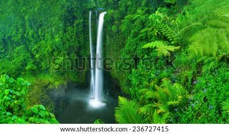 Waterfall in nature.