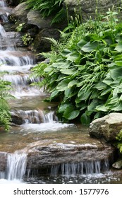 Waterfall At New York Botanical Garden