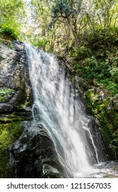 Waterfall Off Trail To Crystal Cave In Sequoia National Park, California