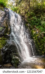 Waterfall Off Trail To Crystal Cave In Sequoia National Park, California