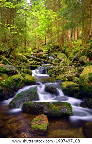 Waterfall on Black creek in the National park Sumava,Czechia. 
Mountain stream flowing through the spring forest. 
