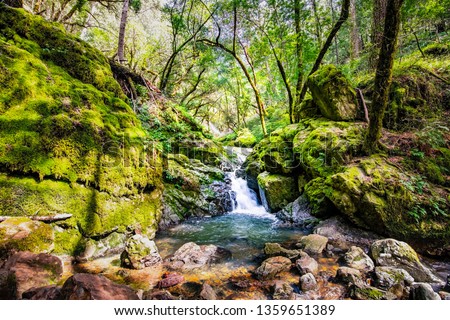 Image, Stock Photo River trough forest