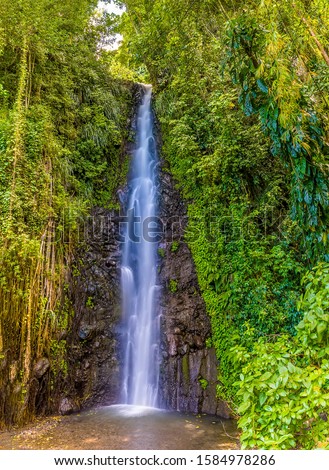 A waterfall on Mount Soufriere in Saint Vincent