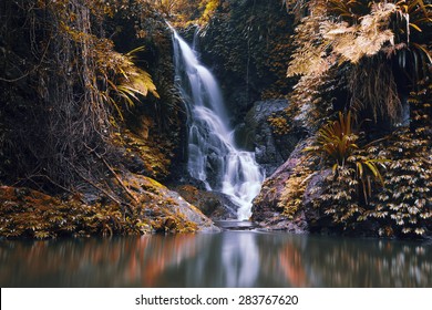 Waterfall With Orange And Red Colours In The Gold Coast Hinterlands On The Queensland And New South Wales Border. 