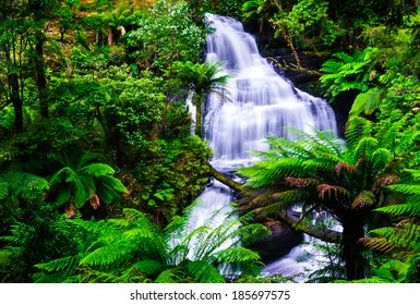 Waterfall Otway National Park Australia