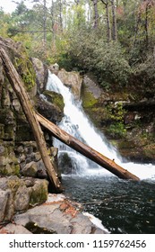 Waterfall over falling trees