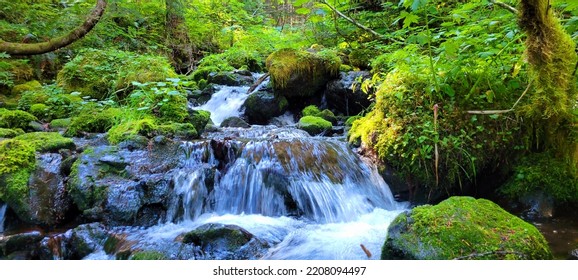 Waterfall In The Pacific Northwest