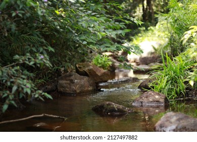 Waterfall In Pang Sida National Park