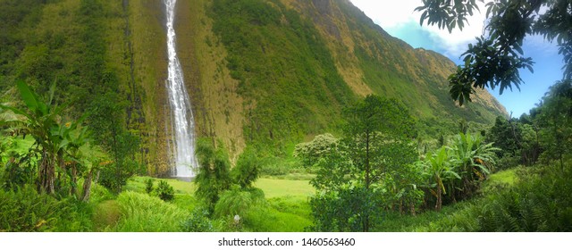 Waterfall Panorama In Hawaii - North Kohala