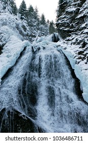 waterfall and pine trees in winter