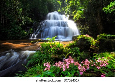 Waterfall and pink flowers in deep forest, Thailand