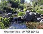 Waterfall and pond surrounded by plants and rocks at the Bundaberg Botanic Gardens in Queensland, Australia