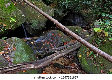 Waterfall In The Red River Gorge, Kentucky.