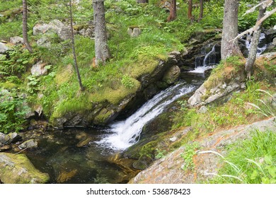 Waterfall in Rila mountain, Bulgaria - Shutterstock ID 536878423