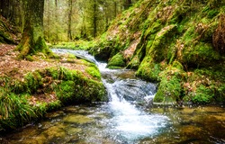 Vodopád Zelený Lesní říční Potok Krajina