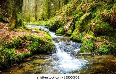 Waterfall river stream in green nature forest landscape - Powered by Shutterstock