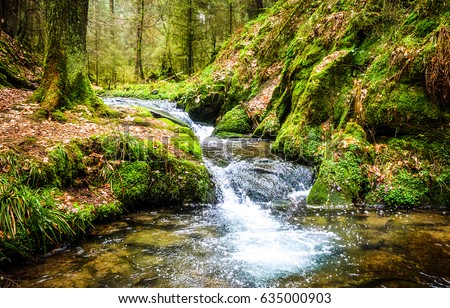 Waterfall river stream in green nature forest landscape