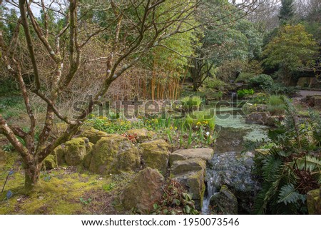 Waterfall running of the lake surrounded by spring flowers and woodland