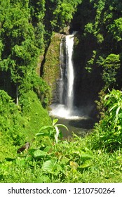 Waterfall In Samoa