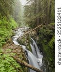 Waterfall shot taken during September in Olympic National Park.