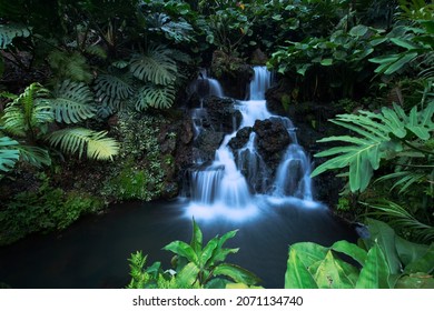 Waterfall In Singapore Botanical Gardens