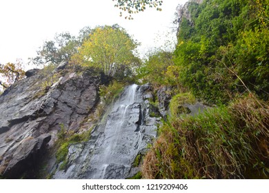 Stock Photo and Image Portfolio by Fred Gartner Shutterstock