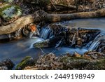 Waterfall in a small brook with frost and ice on its edges near Chapman Falls in East Haddam, Connecticut, USA