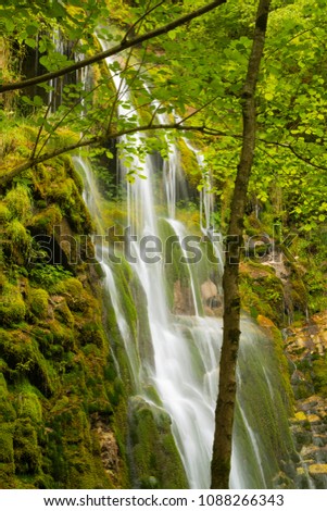 Similar – Image, Stock Photo Bear Guard Gorge Nature