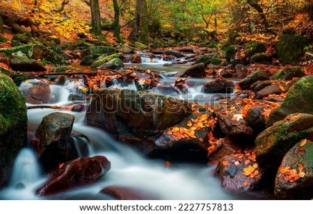 Waterfall stream on the stones of the autumn forest. Autumn forest waterfall stream
