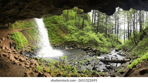 A waterfall streaming through a forest. The view from inside a cave in the Columbia River Gorge