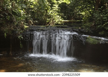 waterfall surrounded by forest, in the Amazon region, in Serra do Divisor National Park, in the state of Acre
 Foto stock © 