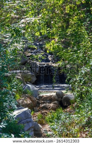 a waterfall surrounded by lush green trees and plants at Descanso Gardens in La Canada Flintridge California USA