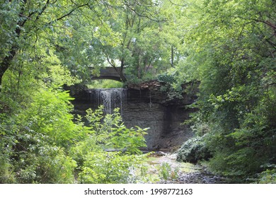 A waterfall surrounded by trees