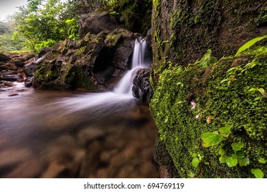 245 Tamhini Ghat Images, Stock Photos & Vectors | Shutterstock