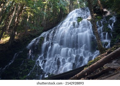 The Waterfall In A Trail Of Oregon 