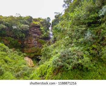 waterfall and trees
