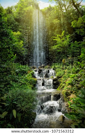 Waterfall in a tropical rainforest