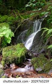 Waterfall In Twitchin Combe, Exmoor Coast, Somerset