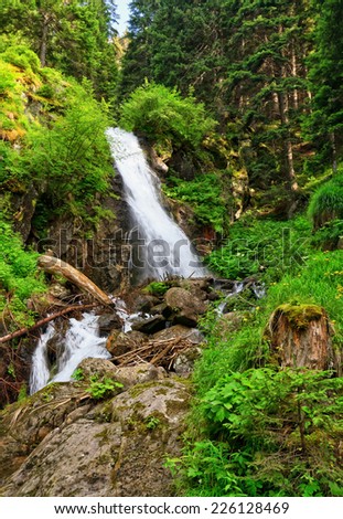 Waterfall in Vermiglio, Val di Sole, Trentino, Italy Stock photo © 