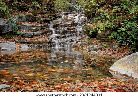 Waterfall view in the forest that contains all the colors of autumn. Waterfall in autumn colors. The Waterfall is hidden in the tropical jungle. Waterfall streams in the green mossy mountain.