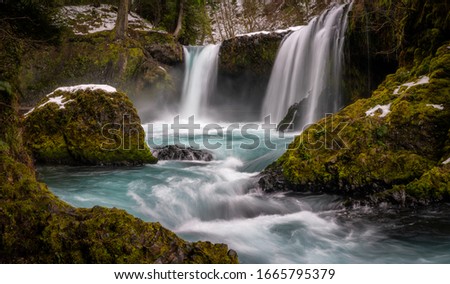 waterfall in the washington forest