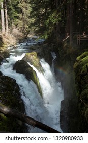 Waterfall in Washington state in the Olympic Peninsula with extensive moss covered rocks, trees and green undergrowth, with a rainbow above the water