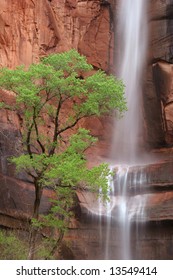 Waterfall At Weeping Rock, Zion National Park. Utah. USA