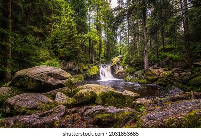 Waterfall in wild forest. Rock tree at waterfall cascade - Powered by Shutterstock