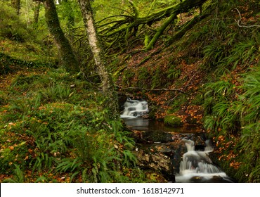 Waterfall In A Woodland, Snowdonia, North Wales