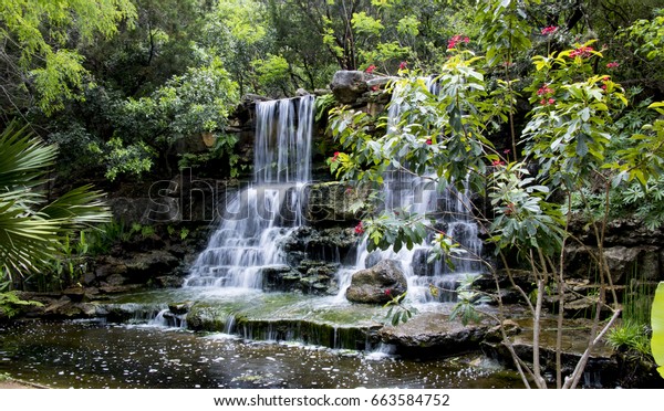 Waterfall Zilker Park Botanical Gardens Stock Photo Edit Now