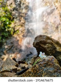 Waterfalls In The City........ Secret Garden.......