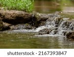 Waterfalls at Old Stone Fort State Archaeological Park in Tennessee 