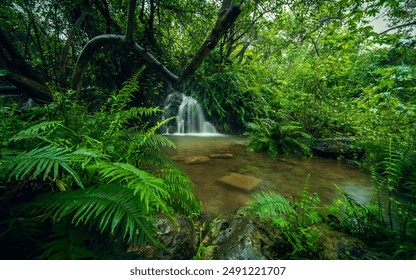 The waterfalls in Salalah during Khareef are a sight to behold. They vary in size and intensity, cascading down the rugged cliffs and verdant hillsides. The lush greenery and misty atmosphere  - Powered by Shutterstock