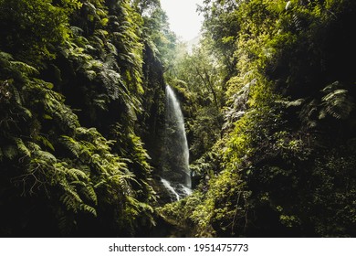 Waterfalls, Spain La Palma Island, Cascada de los Tilos